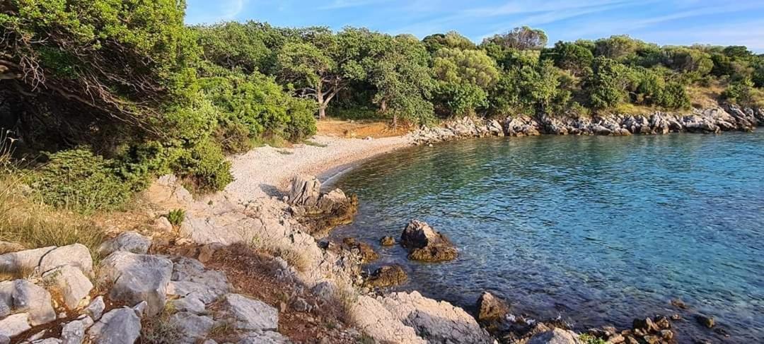 Kuca Za Odmor Denona Διαμέρισμα Borovići Εξωτερικό φωτογραφία